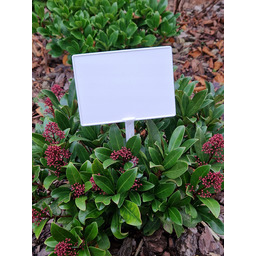 Duże Tabliczki Etykiety Do Oznaczania Roślin 15x10,5x50 cm