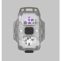 Latarka Kompaktowa Armytek Crystal Wuv Grey