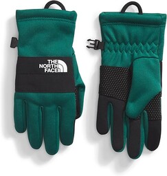 THE NORTH FACE Dziecięce rękawiczki Sierra Etip, Evergreen,