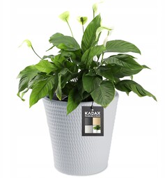 Doniczka na kwiaty Muro 30 cm, szara