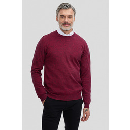 Sweter EDMONDO SWTR000363