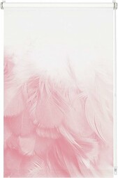 Gardinia Digiprint Szal boa Roleta plisowana zaciskowa,