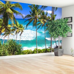 Fototapeta Plaża palmy