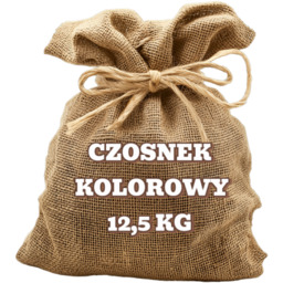 Czosnek kolorowy 12,5 kg HURT