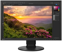 Monitor Eizo ColorEdge CS2400S - oferta specjalna
