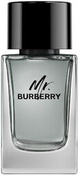 Burberry Mr. Burberry woda toaletowa 100 ml