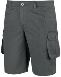 Spodenki męskie turystyczne Alpinus Askja szary