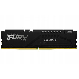 Pamięć DDR5 Fury Beast Black 16GB(1*16GB)/5600 CL36 Expo