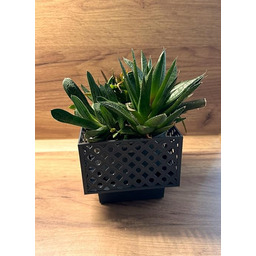 2 sztuki prostokątnych doniczek 11 cm, kolor szary,