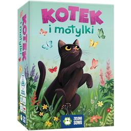 Kotek i motylki