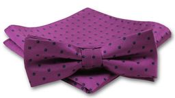 Elegancka Mucha Męska - Alties - Fiolet
