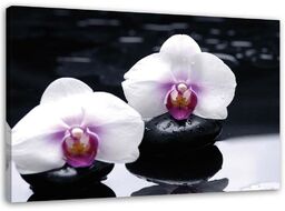 Obraz na płótnie, Orchidea w stylu zen 60x40