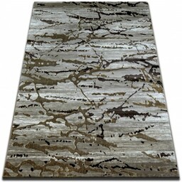 Dywan VOGUE 556 D.beige/Brown 160x220 cm