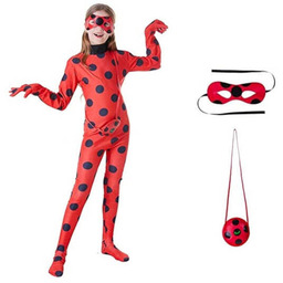 Strój Biedronka Miraculum-152