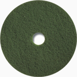 Pad czyszczący 17" zielony