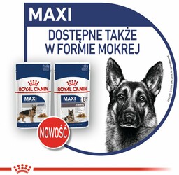 ROYAL CANIN Maxi Ageing 8+ 15kg + Advantix