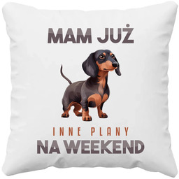 Mam już inne plany na weekend - jamnik
