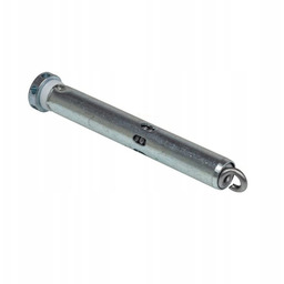 Trzpień zawiasu sprężynowego Hormann E1/S1 (19 mm)