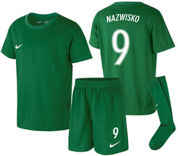 Strój Piłkarski Nike Dowolny Nadruk 96-104