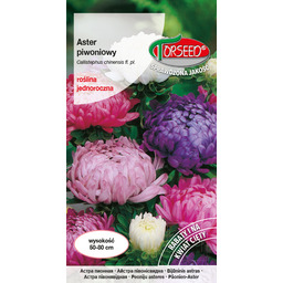 Aster wysoki piwoniowy - Callistephus chiń. fl.pl mieszanka