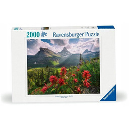 Puzzle 2000. Krajobraz