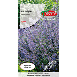 Kocimiętka - Nepeta mussini niebieska 0,5g