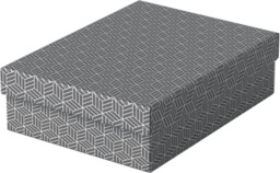 Pudło do przechowywania / pudło prezentowe Esselte Box