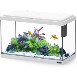 Aquatlantis Aquarium Explorer Rome białe, 1 opakowanie (1