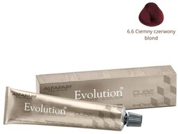 Alfaparf Evolution Of The Color Cube 60ml Farba