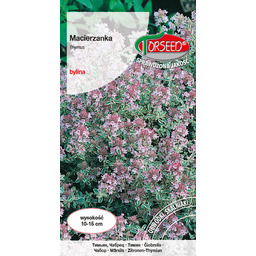 Macierzanka piaskowa - Thymus serphyllum purpurowa 0,3g