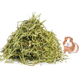11 kg siana świeżego sianka dla mini świnek