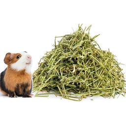 Ściółka siano od rolnika 12kg sianko dla małych