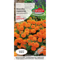 Aksamitka rozpierzchła (niska) - Tagetes patula nana fl.pl.