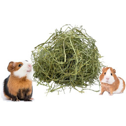 10kg siana węgrowskiego sianka dla największych świnek morskich