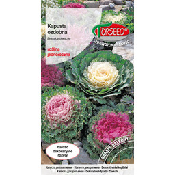 Kapusta ozdobna - Brassica oleracea o kolorowych, "fryzowanych"