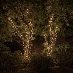 twinkly Łańcuch świetlny RGBW, 250-fl. 20m czarny Twinkly,