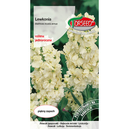 Lewkonia letnia - Matthiola incana annua Excelsior jasnożółta