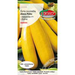 Dynia zwyczajna - Cukinia Atena Polka F1 2g