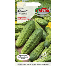 Ogórek gruntowy konserwowy Octopus F1 20g