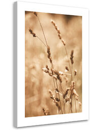 Obraz na płótnie, Trawa Natura Łąka 40x60