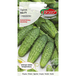 Ogórek gruntowy konserwowy Ibis F1 5g