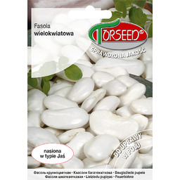 Fasola wielokwiatowa Kontra 40g