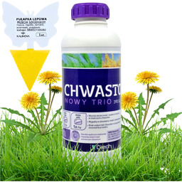 Chwastox Oprysk Trio Środek na Chwasty w Trawie