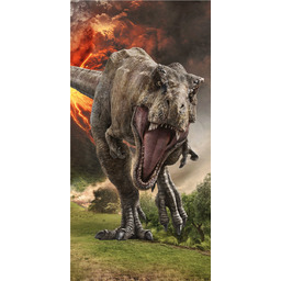 Ręcznik Jurassic 70x140 kąpielowy plażowy Jerry Fabrics