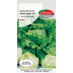 Sałata głow krucha (do upr.w tunelu i