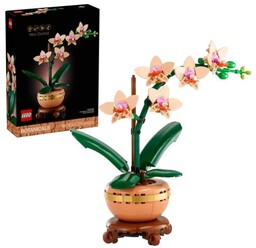 LEGO ICONS 10343 Botanicals - Mała orchidea