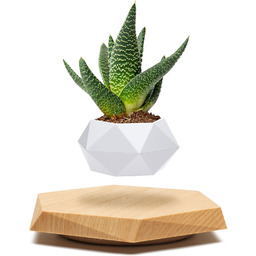 Lewitująca Doniczka Na Bonsai Magnetyczna Doniczka Ozdoby