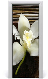 Okleina Naklejka fototapeta na drzwi Orchidea