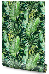 Muralo Tapeta Ścienna Zielone Tropikalne Liście Palmy