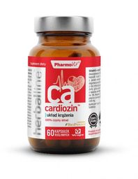 KAPSUŁKI NA UKŁAD KRĄŻENIA (CARDIOZIN) BEZGLUTENOWE 60 szt.